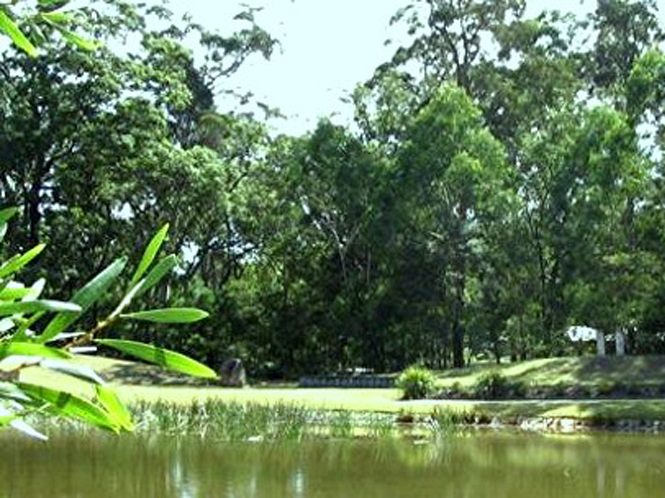 Eurobodalla Regional Botanic Garden (March 5)