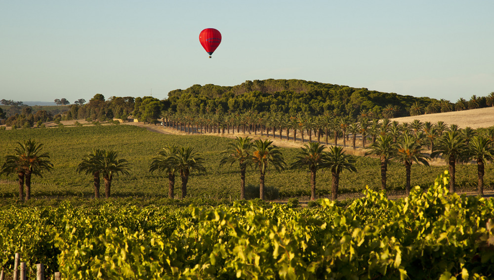 Seppeltsfield Wines Barossa Valley